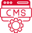 CMS Development